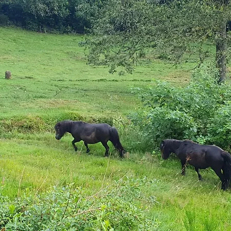 Сasa de vacaciones Ferme Pleine Nature, Vue Splendide 2 Cheminée Le Thillot