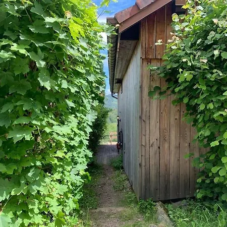 Ferme Pleine Nature, Vue Splendide 2 Cheminee Le Thillot