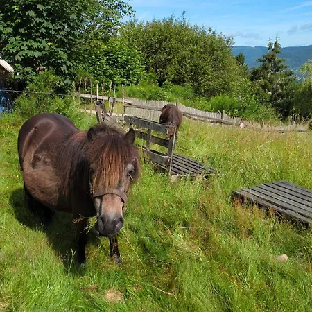 Ferme Pleine Nature, Vue Splendide 2 Cheminee Le Thillot