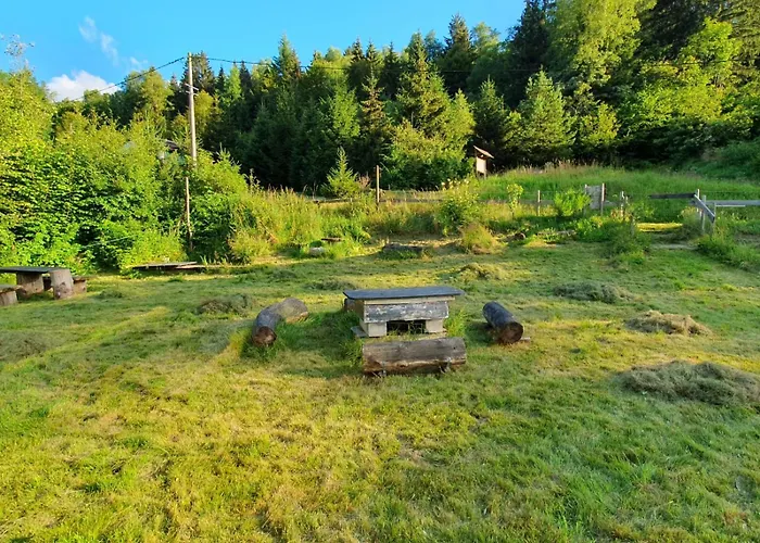 Ferme Pleine Nature, Vue Splendide 2 Cheminee Holiday home Le Thillot