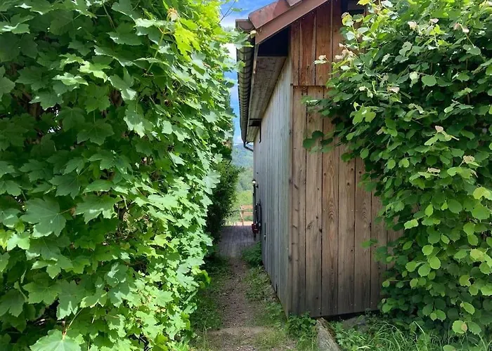 Au Bout Des Mynes Avec Vue Panoramique Le Thillot