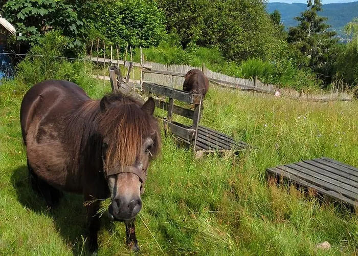 Ferme Pleine Nature, Vue Splendide 2 Cheminee Le Thillot